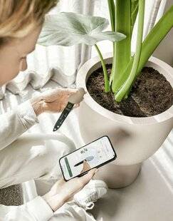 Modes & Travaux 1504 LE GALET QUI CHUCHOTE À L'OREILLE DES PLANTES