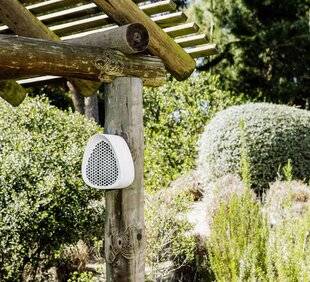 Modes & Travaux 1506 DANS MON JARDIN