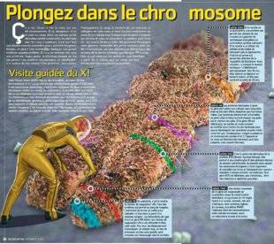 Hors-Séries 110 Plongez dans le chromosome