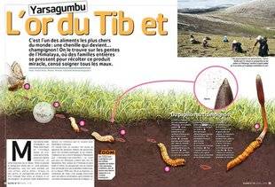 Hors-Séries 111 L'or du Tibet