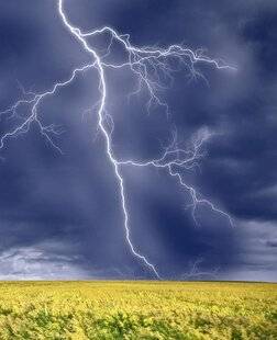 Hors-Séries 174 Un record foudroyant !