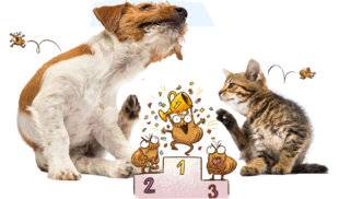 Hors-Séries 174 DRÔLE DE SCIENCE !