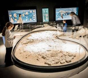 Hors-Séries 174 ANATOMIE COMPARÉE DES ESPÈCES IMAGINAIRES