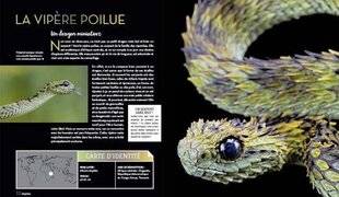 Hors-Séries 174 ANIMAUX BIZARROÏDES La vie secrète des animaux les plus étranges