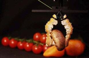 Hors-Séries 176 Robot recyclé