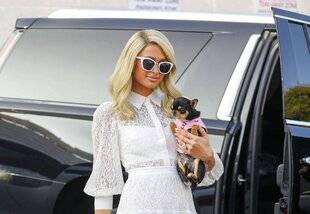 Hors-Séries 176 CLONER SON ANIMAL DE COMPAGNIE