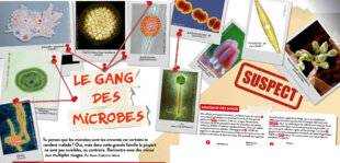 Hors-Séries 177 LE GANG DES MICROBES