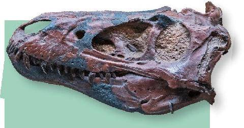 Hors-Séries 180 SUR LA TRACE DES DINOSAURES