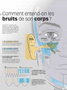 Science & Vous par Science et Vie 40 Comment entend-on les bruits de son corps ?
