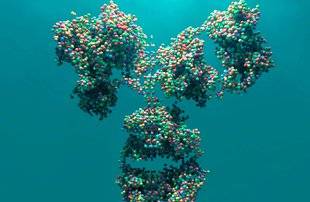 Science & Vous par Science et Vie 40 Les anticorps monoclonaux…