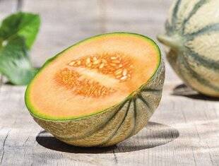 Marmiton 83 L'IGP melon de Cavaillon reconnue depuis le 12 février 2025
