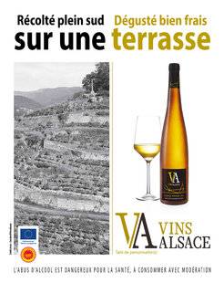 Marmiton 84 VINS ALSACE