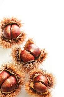 Marmiton 86 8 façons de cuisiner… la châtaigne