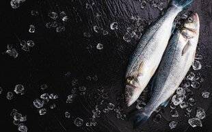 Marmiton 86 Le bar Le roi des poissons de mer