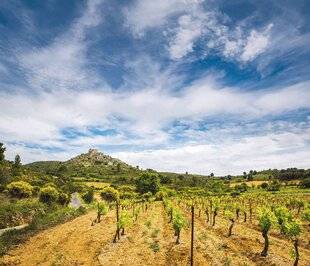 Marmiton 87 Des vins d’exception