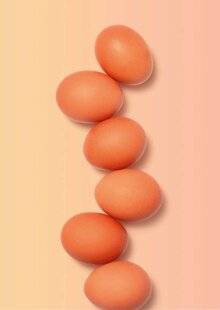 Marmiton 87 6 façons de cuisiner…les œufs