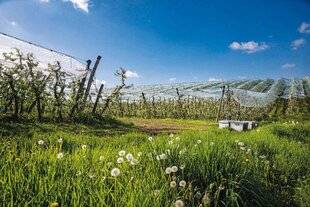 Marmiton 88 Radio Pomme du Limousin BONJOUR !