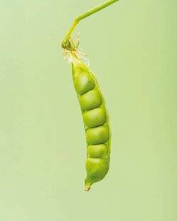 Marmiton 88 8 façons de cuisiner…