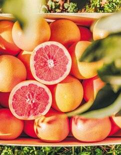 Marmiton 88 Le bijou acidulé de l'île de Beauté