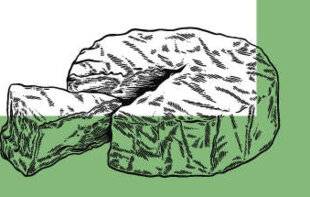 Marmiton 88 Samoussas au camembert de Normandie AOP