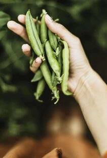 Marmiton 89 LE VRAI/FAUX sur les légumes