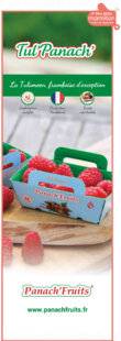 Marmiton 89 Panach'Fruits