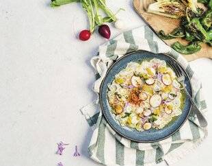 Marmiton 90 Carpaccio de daurade, sauce aux agrumes et légumes poêlés