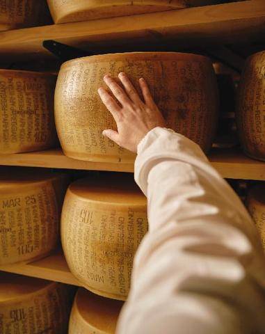 Marmiton 91 Parmigiano reggiano L’or de Parme