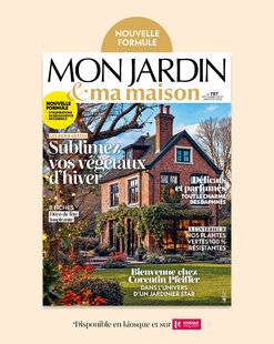 Marie France 343 MON JARDIN & ma maison