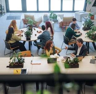 Marie France 344 LA PERMACULTURE,