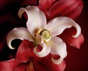 Marie France 345 3. UN AMOUR DE BIJOU