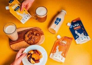 Marie France 347 L'OUTSIDER FRENCHY DES BOISSONS VÉGÉTALES