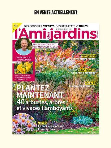 Marie France 349 