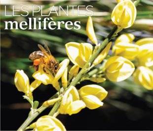 Hors-Séries 208 LES PLANTES mellifères