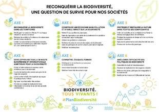 Hors-Séries 208 VOUS SOUHAITEZ SIMPLEMENT AIDER LES ABEILLES ?