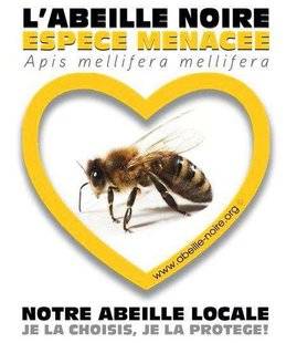 Hors-Séries 208 LA FILIÈRE MIEL SE MOBILISE