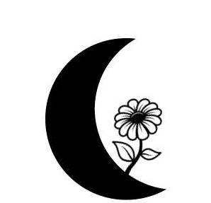 Hors-Séries 211 AU CLAIR DE LA LUNE !