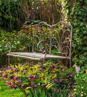 Hors-Séries 212 PLANTES VIVACES