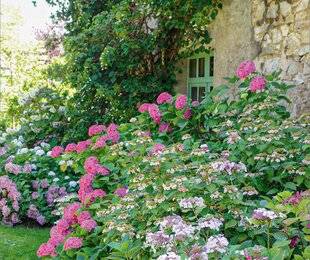 Hors-Séries 239 LE JARDIN ANNABELLE (JURA)