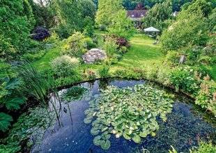 Hors-Séries 239 Ô JARDIN PAISIBLE (PAS-DE-CALAIS)