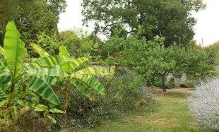 Hors-Séries 239 LE JARDIN DE POMONE (CHARENTE-MARITIME)