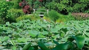 Hors-Séries 239 JARDINS DES MARTELS (TARN-ET-GARONNE)