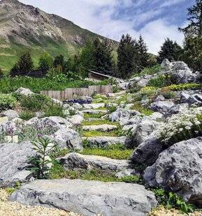 Hors-Séries 239 JARDIN ALPIN DU LAUTARET (HAUTES-ALPES)