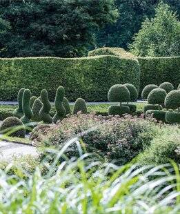 Hors-Séries 239 JARDINS SOTHYS (CORRÈZE)