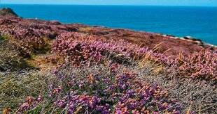 Hors-Séries 241 ENTRE BRETAGNE ET NORMANDIE, L'OUEST SOUS INFLUENCE MARITIME