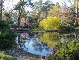 Hors-Séries 241 En ces terres un peu ingrates du Centre, des jardins entre naturel et cultivé