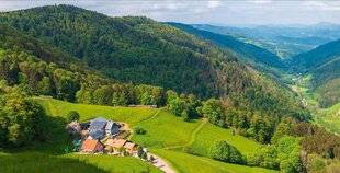 Hors-Séries 241 LES VOSGES AU CLIMAT SEMI-CONTINENTAL