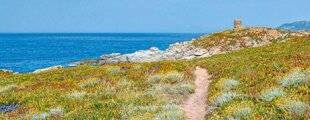 Hors-Séries 241 LE SUD-EST, LA MÉDITERRANÉE POUR HORIZON