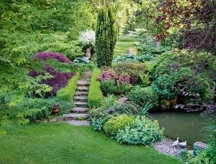 Hors-Séries 241 Aménager son jardin EN SOL ACIDE