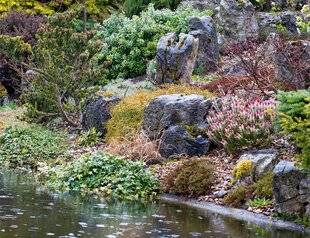 Hors-Séries 241 LES BONNES PLANTES AU BON ENDROIT